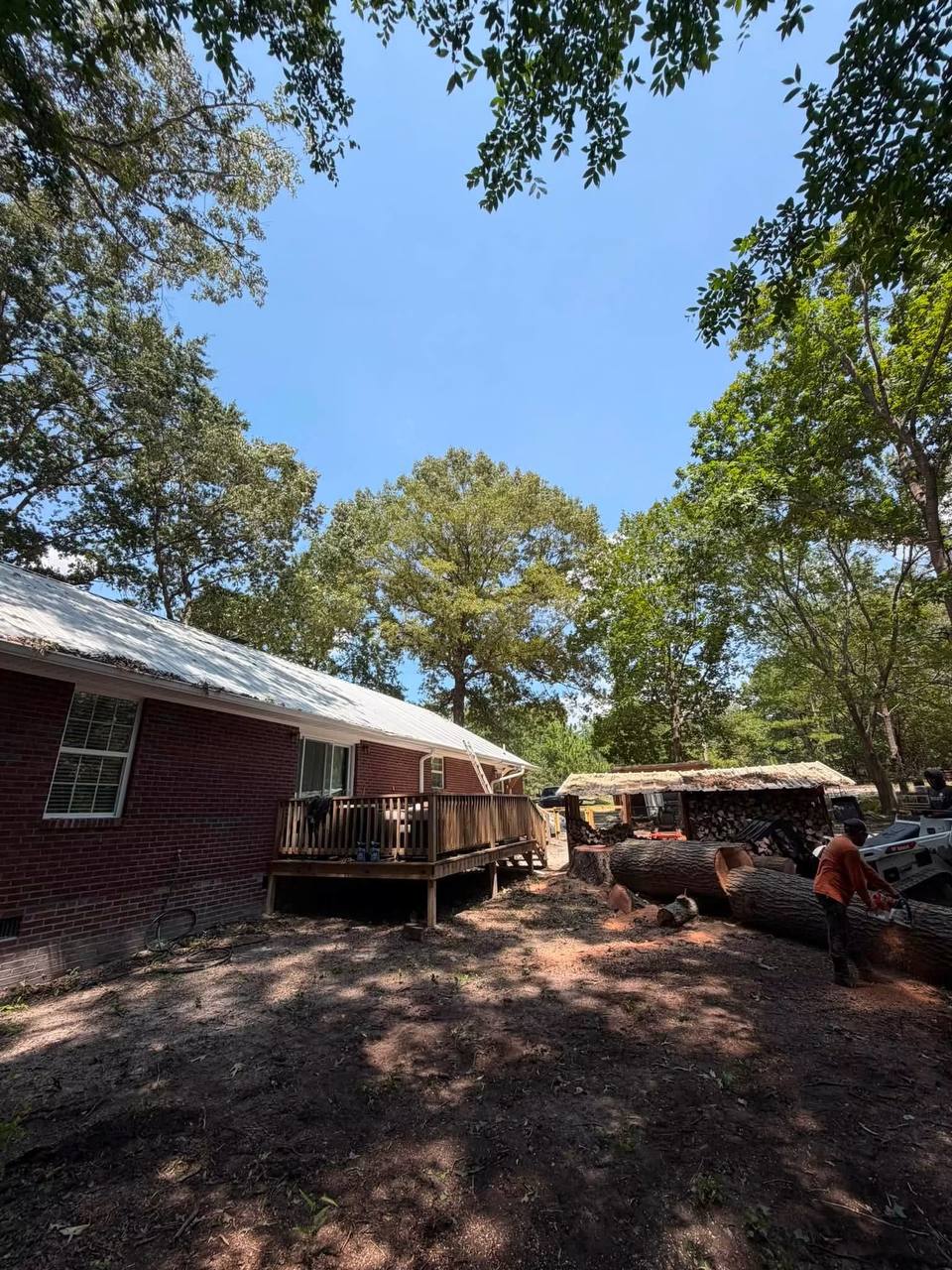 Tree removed and logs cleared, crew on site